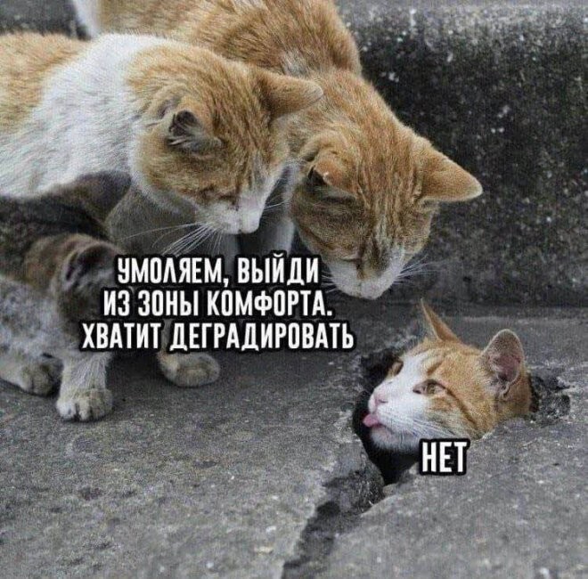 Смешные картинки