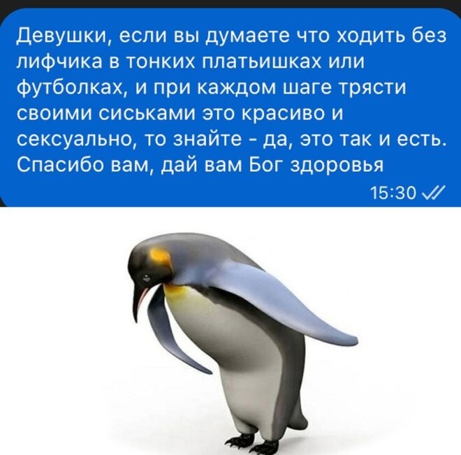 Смешные картинки