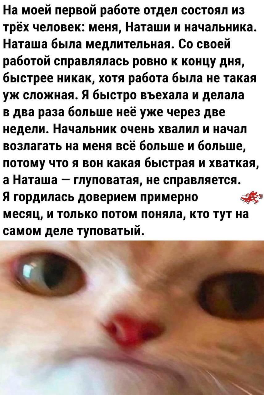Смешные картинки