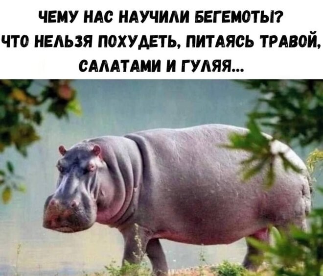 Смешные картинки