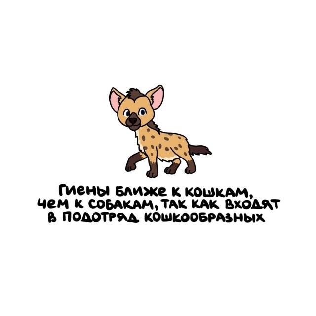 А вдруг ты не знал…