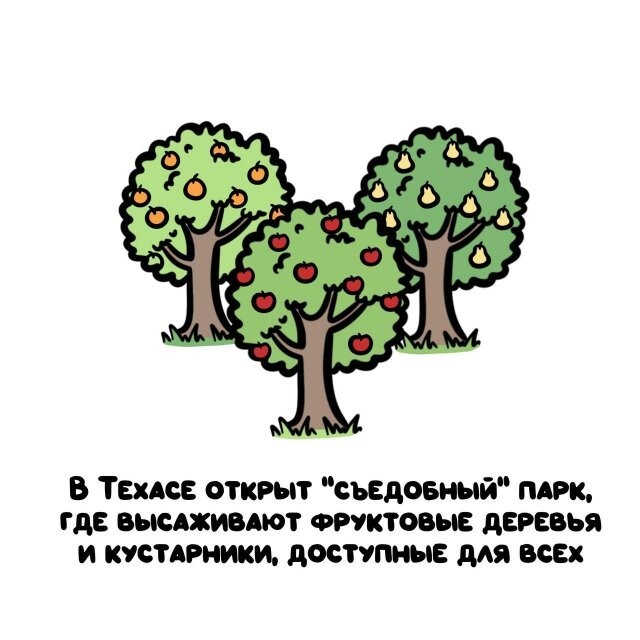 А вдруг ты не знал…