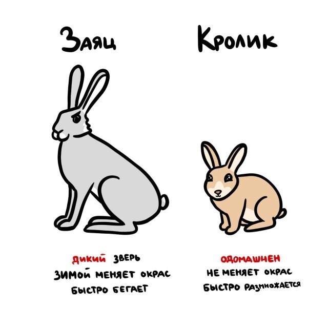 А вдруг ты не знал…
