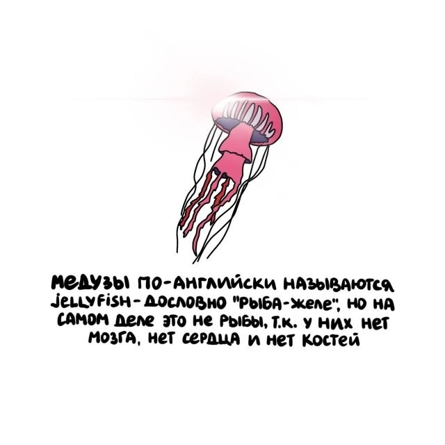 А вдруг ты не знал…