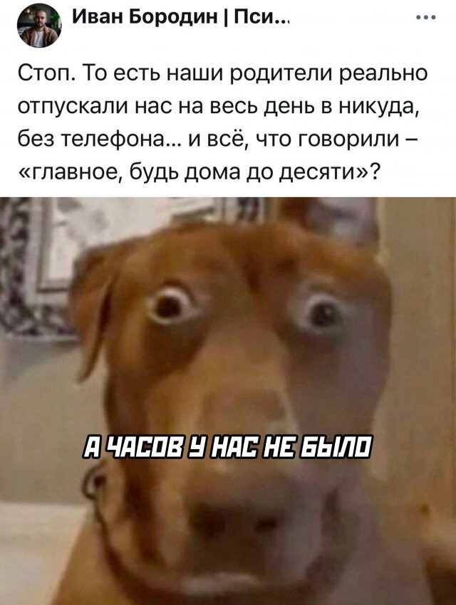 Не ищите здесь смысл. Здесь в основном маразм