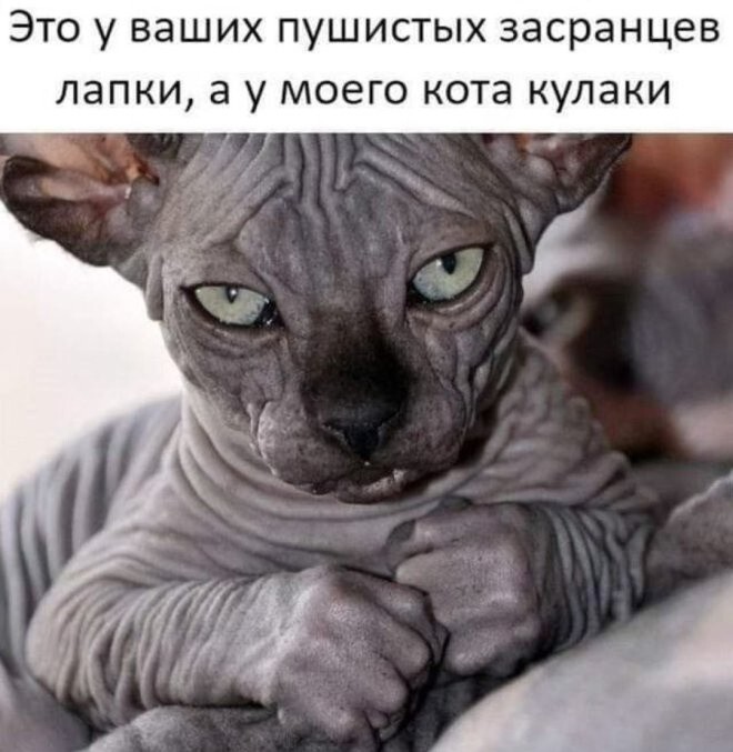 Не ищите здесь смысл. Здесь в основном маразм