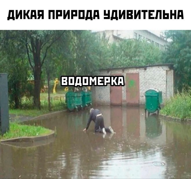Не ищите здесь смысл. Здесь в основном маразм