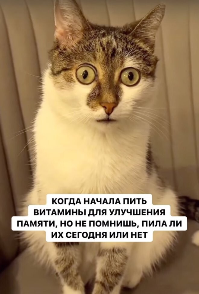 Не ищите здесь смысл. Здесь в основном маразм