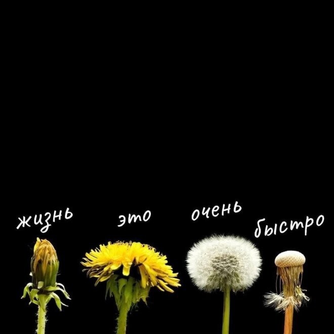 Не ищите здесь смысл. Здесь в основном маразм