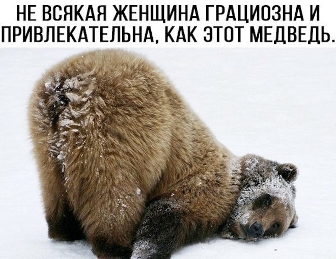 Не ищите здесь смысл. Здесь в основном маразм