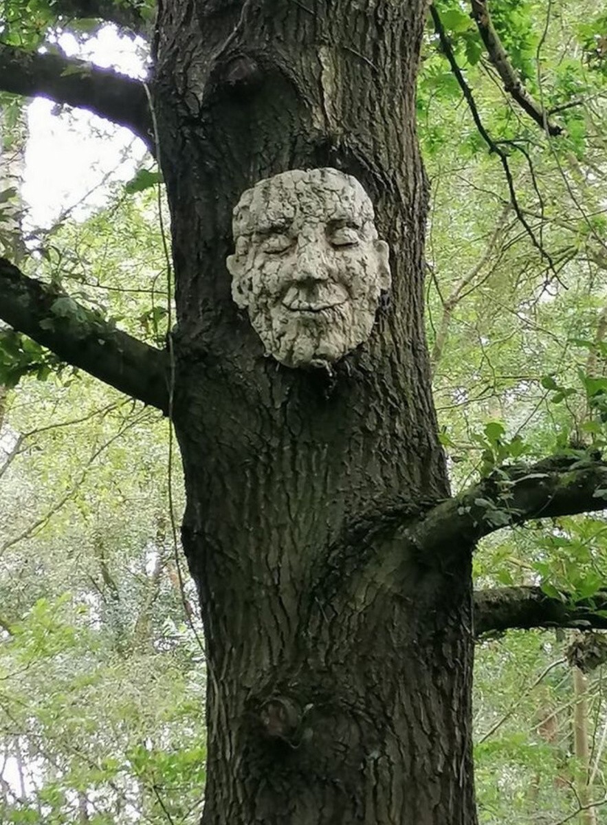 По фотографии непонятно из чего это лицо