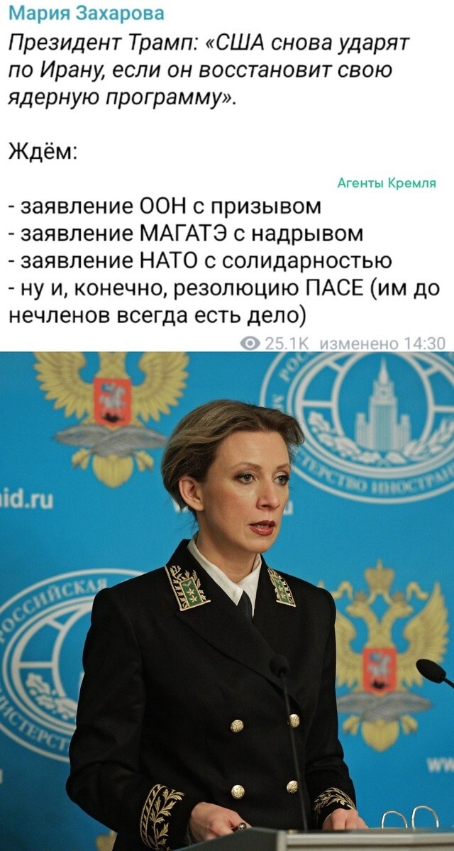 Все перечисленные псевдомеждународные организации в этот самый момент расписываются в своей немощности и негодности
