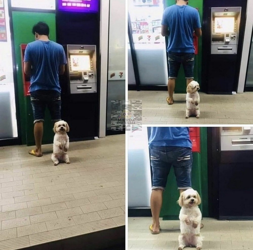 На общую тему 