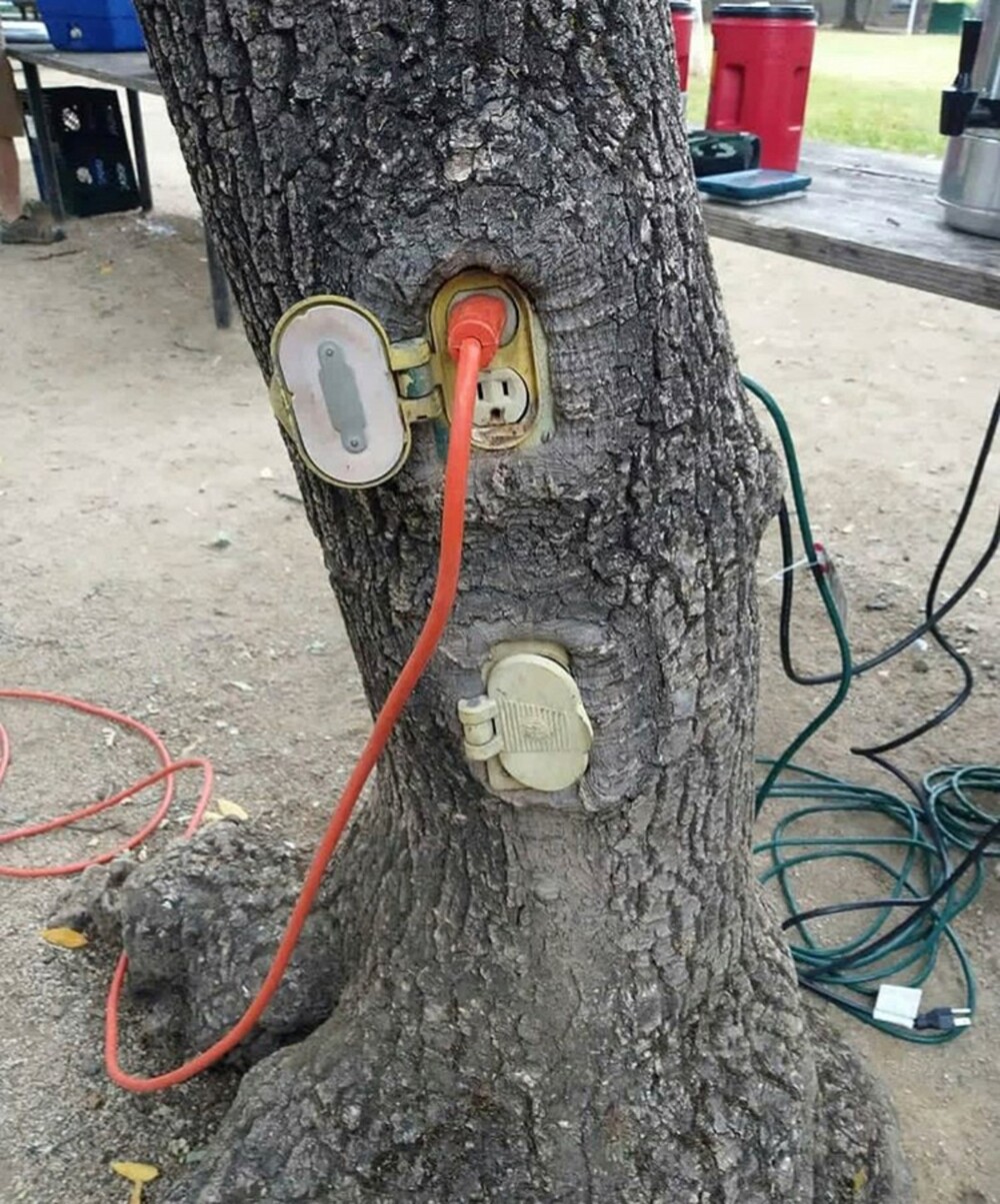 На общую тему 