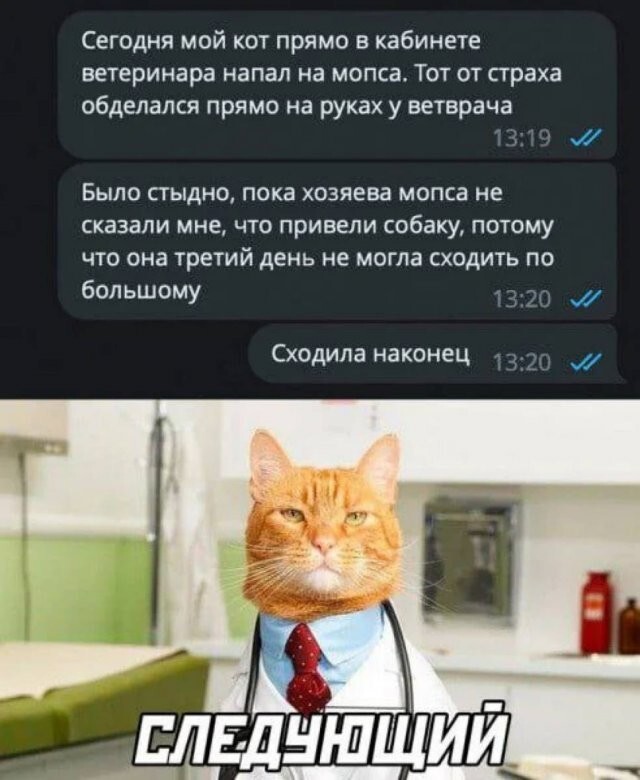 Скрины из соцсетей