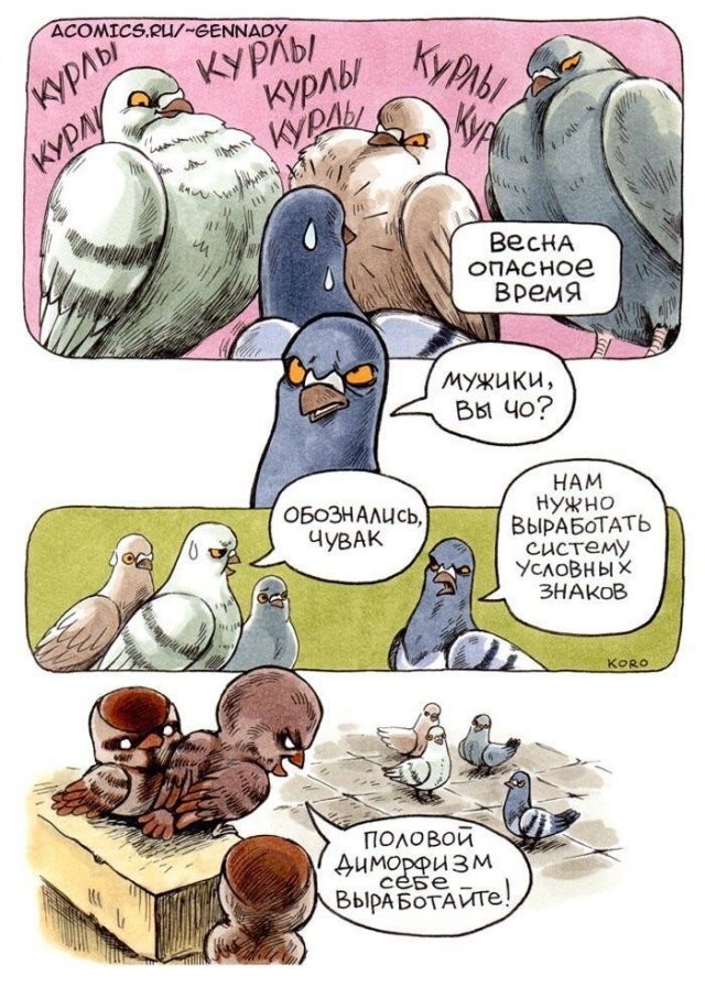 Скрины из соцсетей