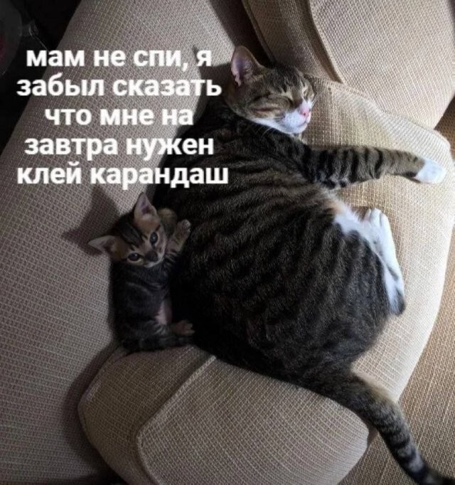 Скрины из соцсетей