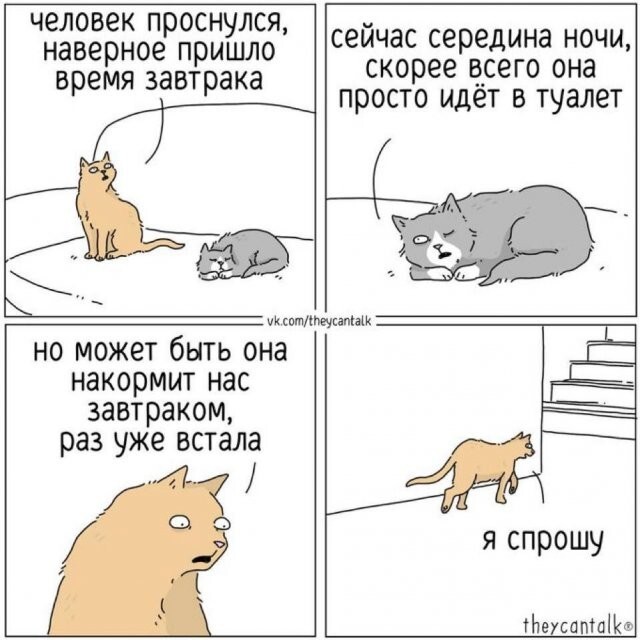 Скрины из соцсетей