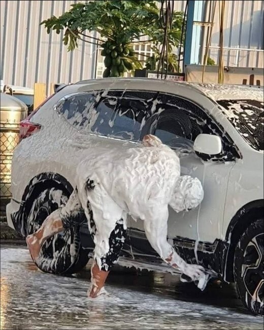 Намешалось