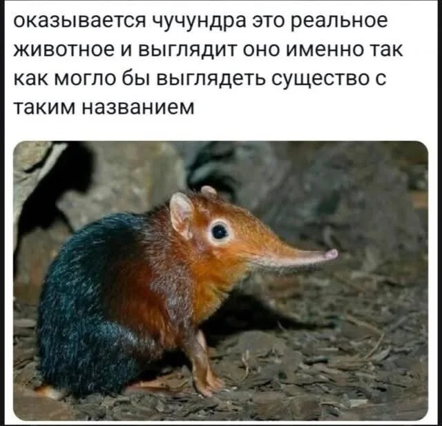 Не ищите здесь смысл. Здесь в основном маразм