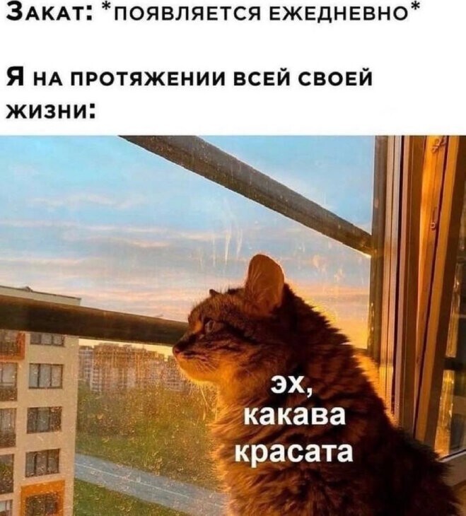 Не ищите здесь смысл. Здесь в основном маразм