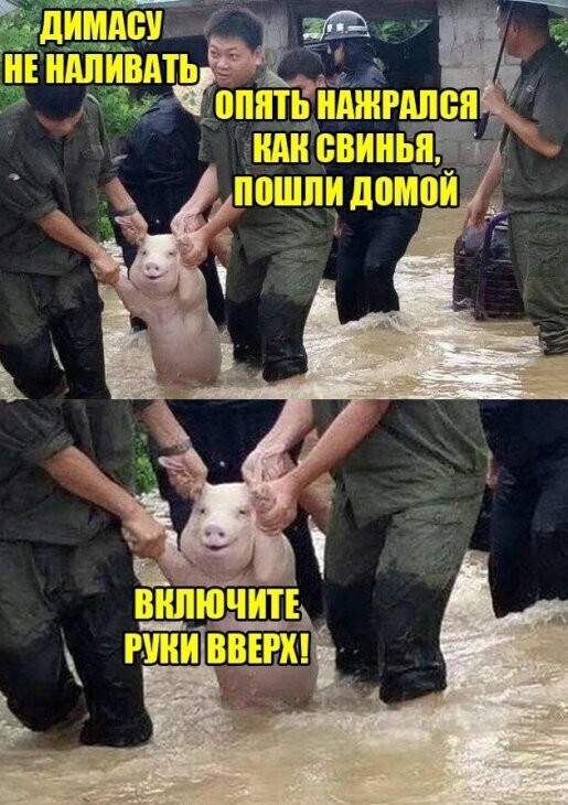 Не ищите здесь смысл. Здесь в основном маразм