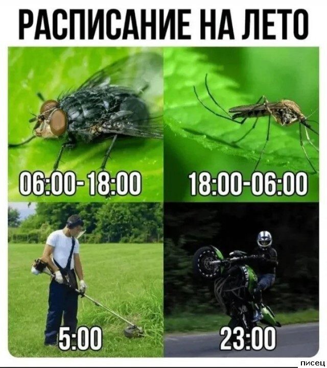 Не ищите здесь смысл. Здесь в основном маразм