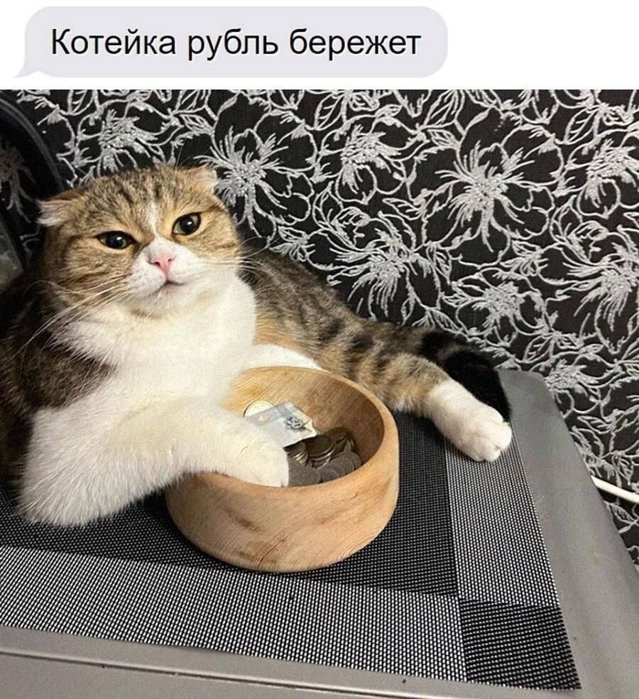 Мероприятель и клюкало: и опять каламбуры и лингвошутки