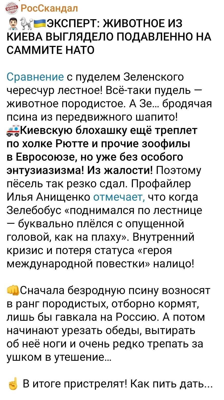 Лишь о политике