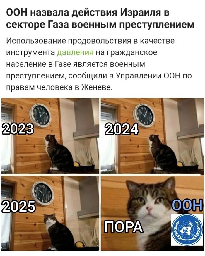 Лишь о политике