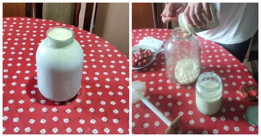 Мужик выжал максимум из банки молока