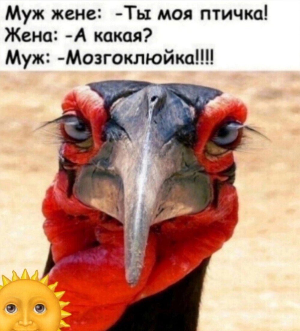 Субботний улыбатор