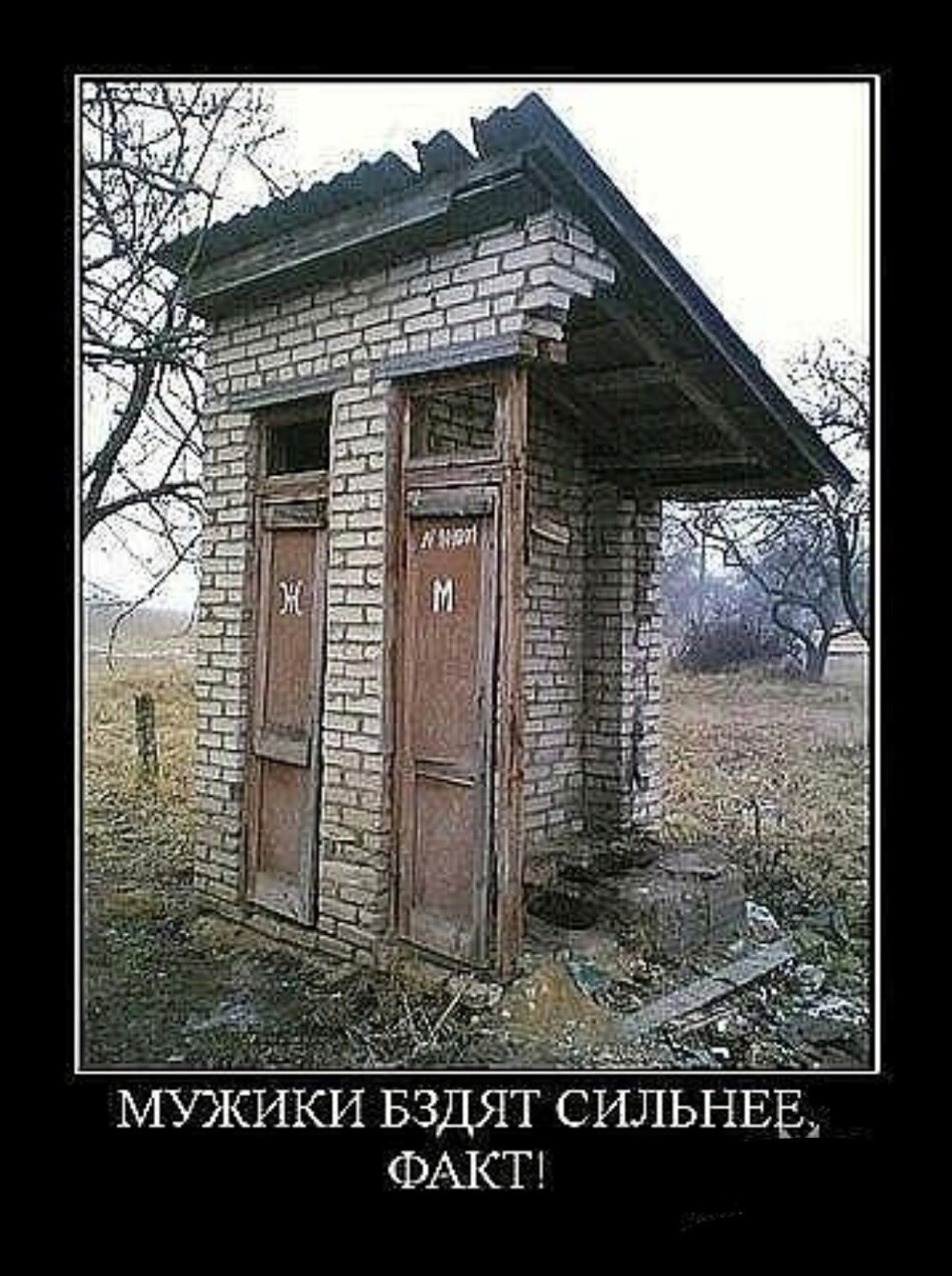 Субботний улыбатор