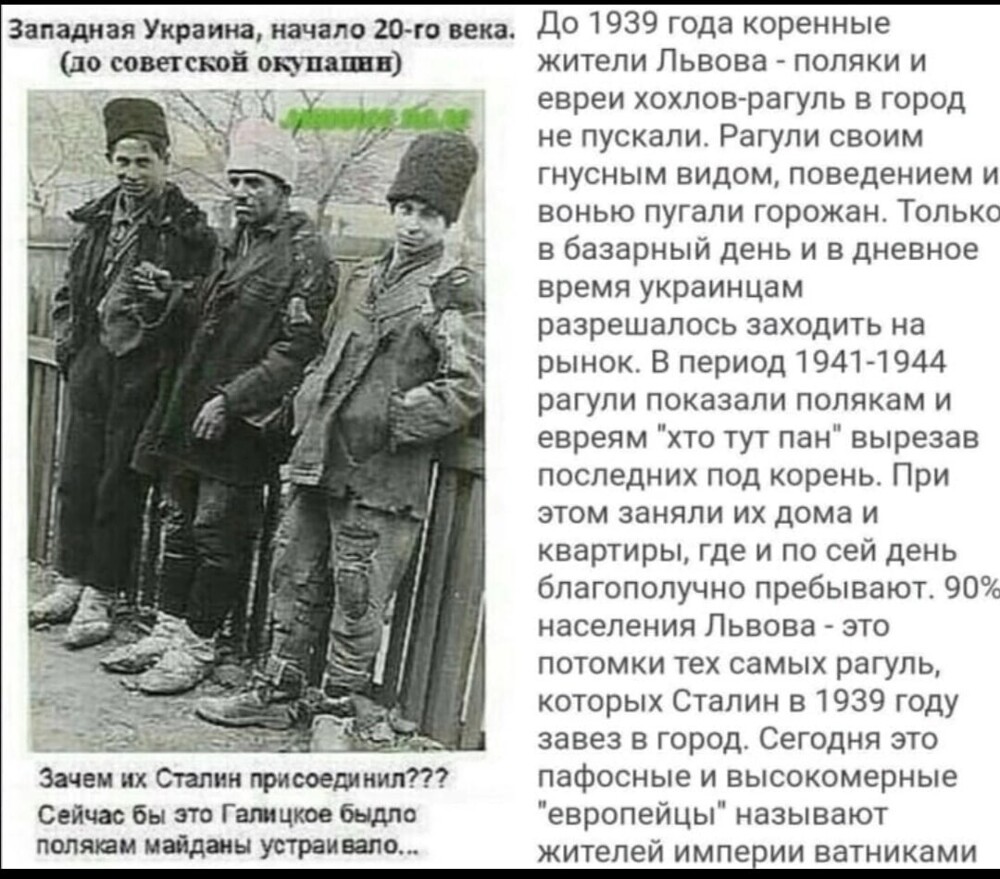 О политике и не только