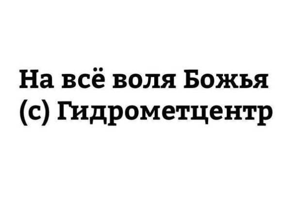 О политике и не только