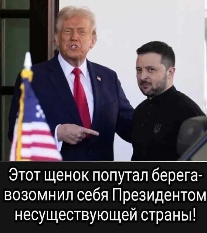 О политике и не только