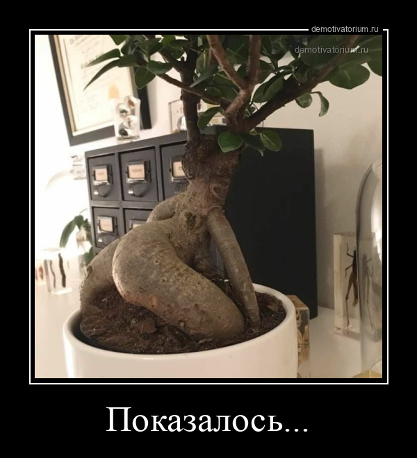 Показалось