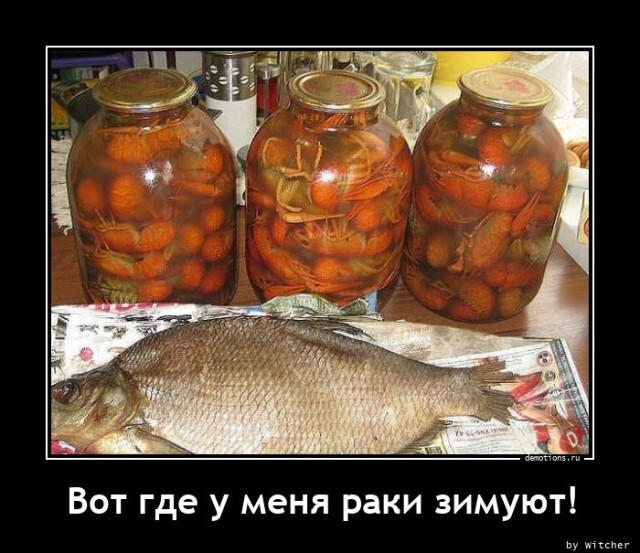 Вот где раки зимуют