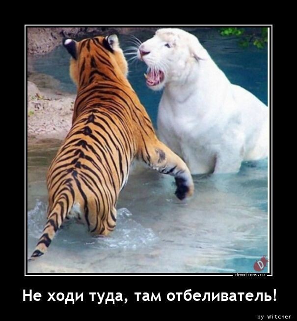 Не ходи туда, там отбеливаель