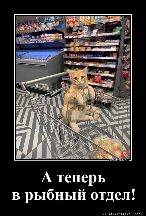 А теперь в рыбный отдел