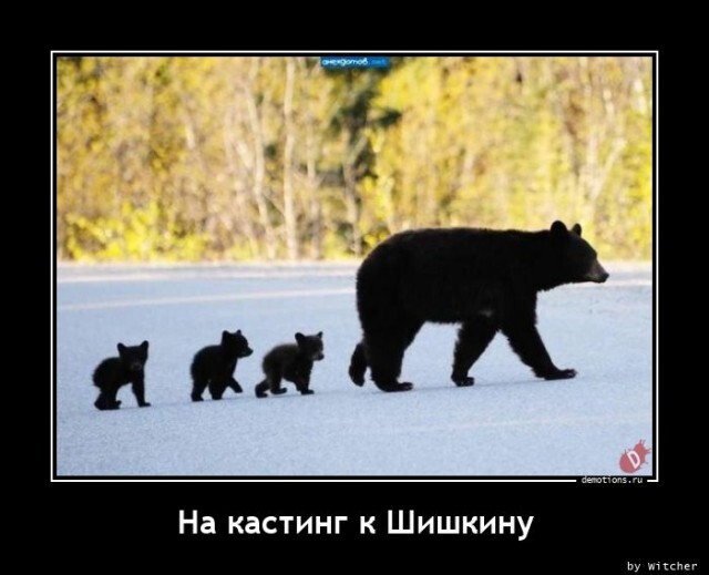 На кастинг к Шишкину