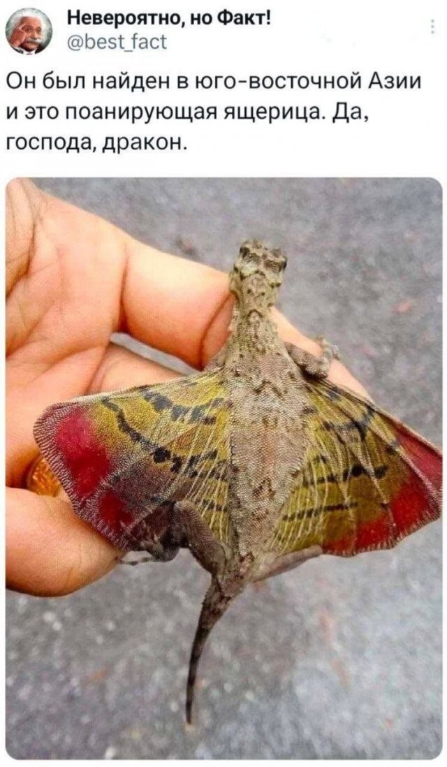 Скрины из соцсетей            