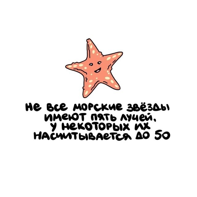 А вдруг ты не знал…
