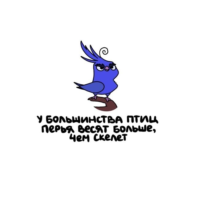 А вдруг ты не знал…