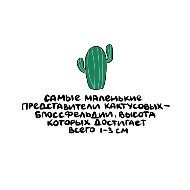 А вдруг ты не знал…