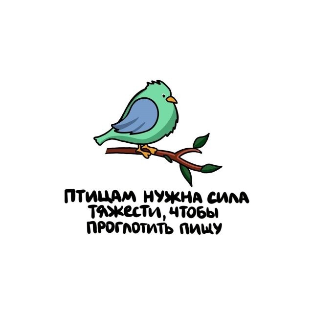 А вдруг ты не знал…