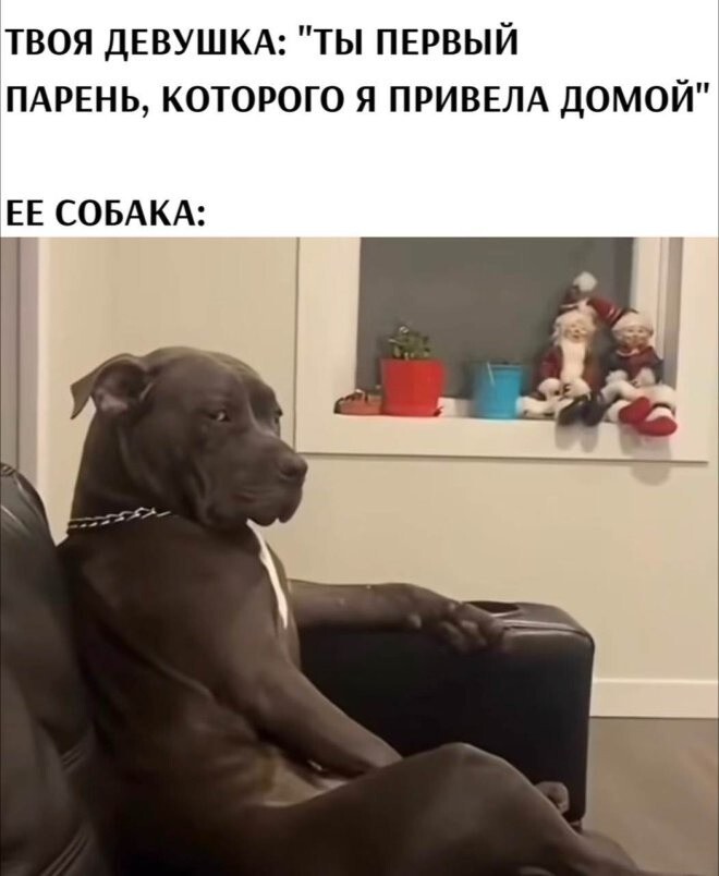Не ищите здесь смысл. Здесь в основном маразм