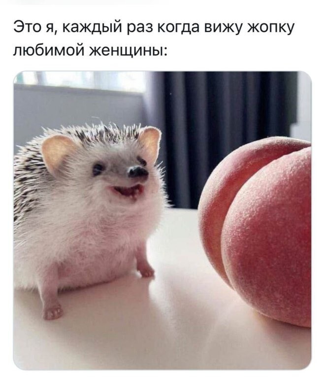 Не ищите здесь смысл. Здесь в основном маразм