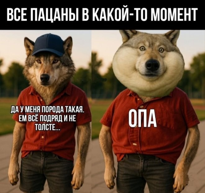 Не ищите здесь смысл. Здесь в основном маразм