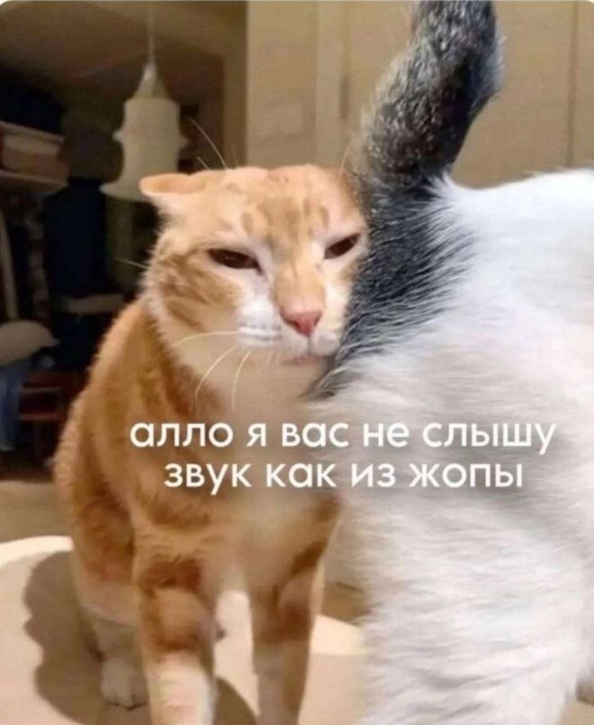 Не ищите здесь смысл. Здесь в основном маразм